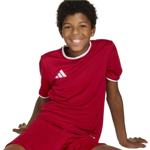 Koszulka adidas Entrada 26 JSY JZ2523