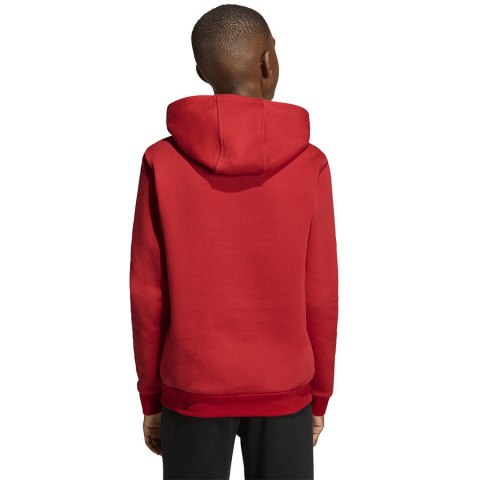 Bluza adidas ENTRADA 26 Hoody Junior JZ6568