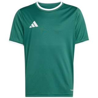 Koszulka dla dzieci adidas Entrada 26 Jersey zielona KE9834