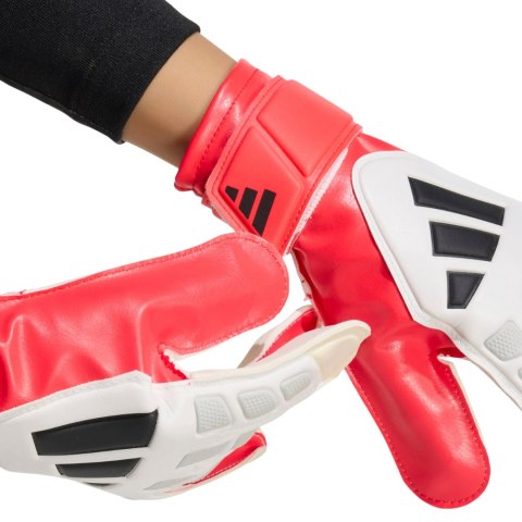 Rękawice bramkarskie dla dzieci adidas Predator Training KA7792