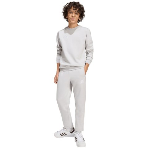 Bluza dla dzieci adidas Entrada 26 Sweat Top szara JZ6551