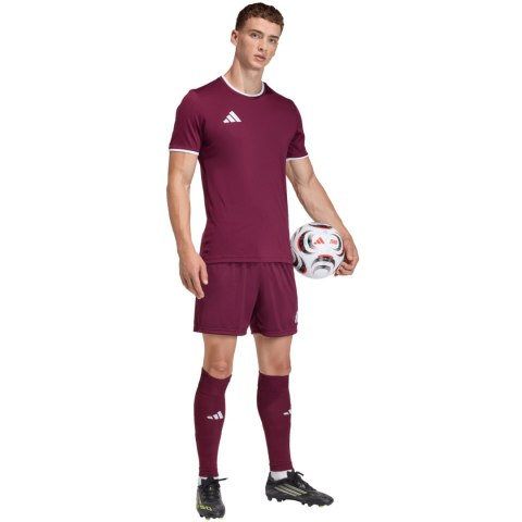 Spodenki męskie adidas Entrada 26 bordowe JZ2514