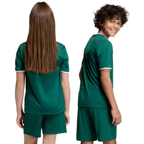 Koszulka dla dzieci adidas Entrada 26 Jersey zielona KE9834