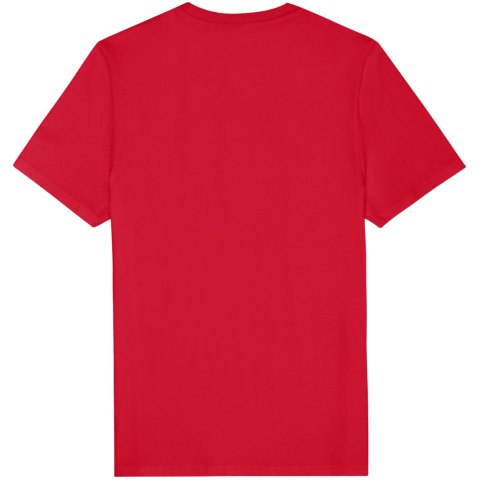 Koszulka męska Fila Rifredi czerwona FAM1219 30002