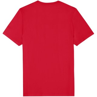 Koszulka męska Fila Rifredi czerwona FAM1219 30002