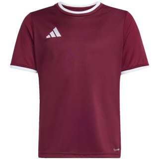 Koszulka dla dzieci adidas Entrada 26 Jersey bordowa JZ2530