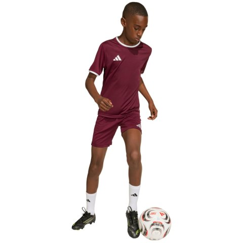 Koszulka dla dzieci adidas Entrada 26 Jersey bordowa JZ2530