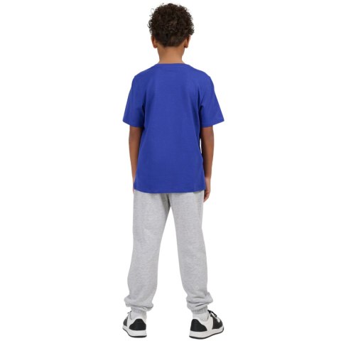 Spodnie dla chłopca 4F CAS M1188 szary melanż 4FJWMM00TTROM1188 25M