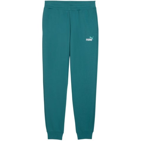 Spodnie męskie Puma Ess 2 Color No.1 Logo zielone 684714 41