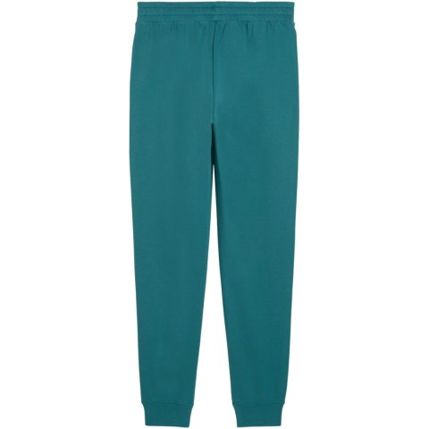 Spodnie męskie Puma Ess 2 Color No.1 Logo zielone 684714 41