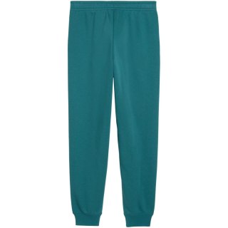 Spodnie dla dzieci Puma ESS 2 Color No.1 Logo zielone 693892 41