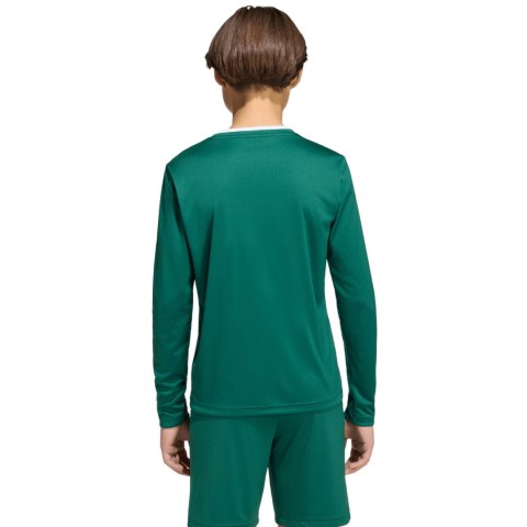 Koszulka dla dzieci adidas Entrada 26 Long Sleeve Jersey zielona KF5873