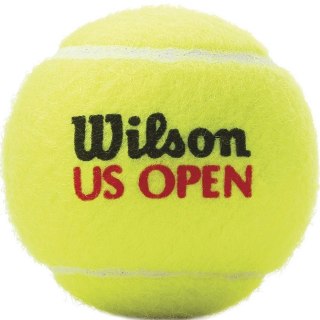 Wilson Piłki do tenisa ziemnego Wilson Us Open 4szt WRT116200