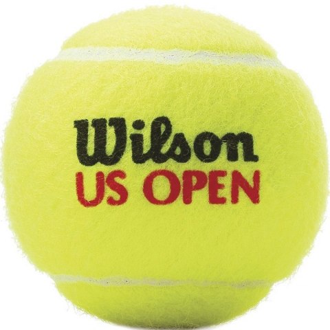 Wilson Piłki do tenisa ziemnego Wilson Us Open 4szt WRT116200