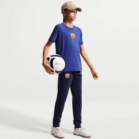 Nike Koszulka Nike FC Barcelona IM1708-455