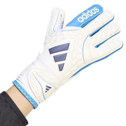 Adidas Rękawice adidas Copa GL Club Jr KE9734