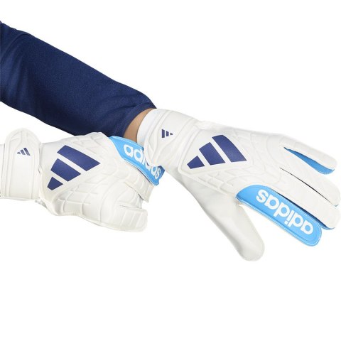 Adidas Rękawice adidas Copa GL Club KE9731